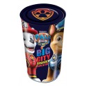 Paw Patrol Money Box