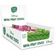 Princess Mega Fruit Stick 20g (apple)